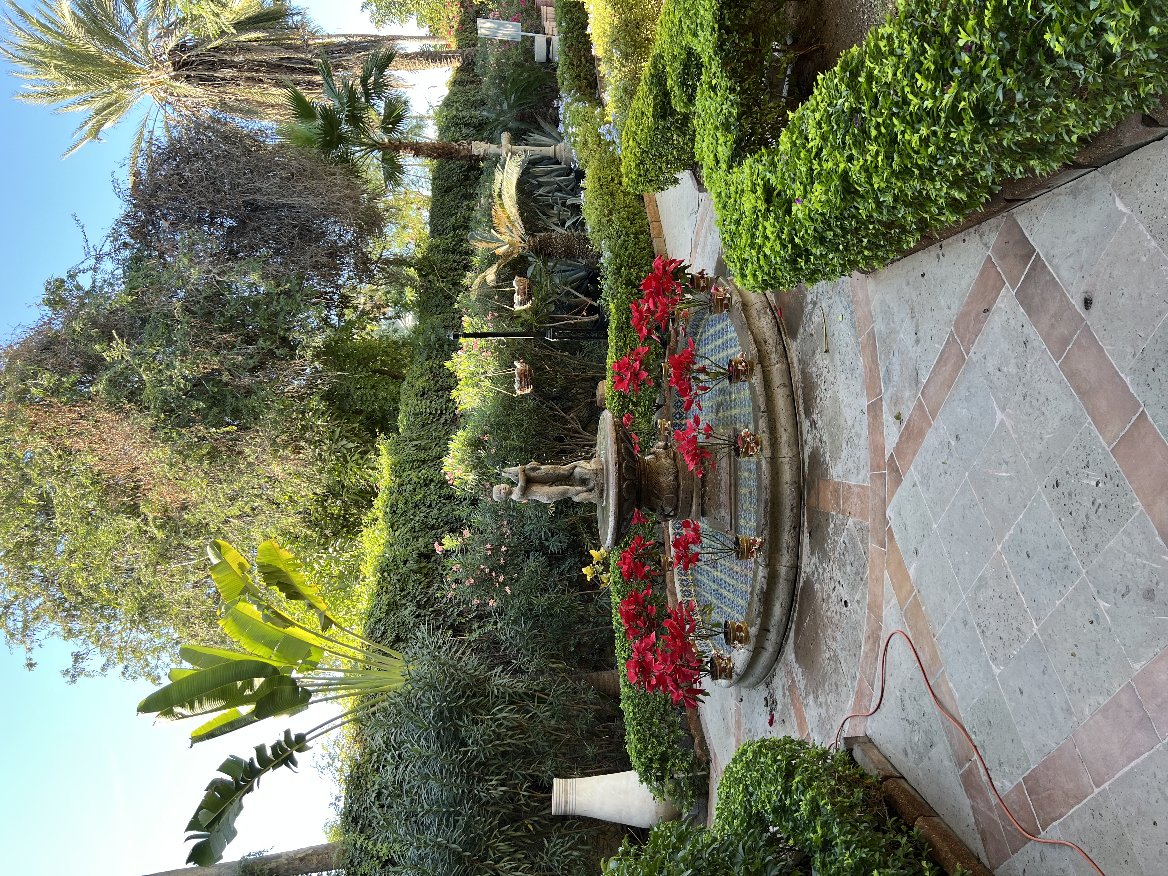 ./2024/13 - Cabo/IMG_4544.jpg